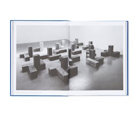 SCULPTURE AS PLACE, 1958–2010 [GERMAN EDITION / SOFTCOVER]